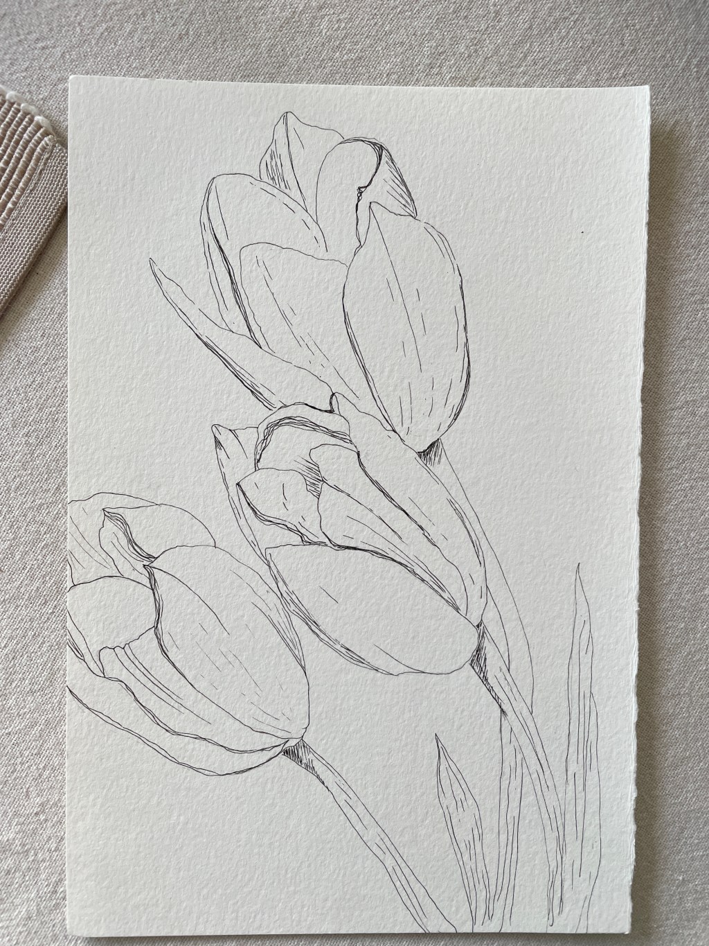 Ink Art of Three Tulips